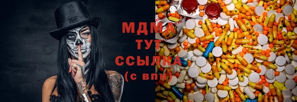 шишки Богородицк